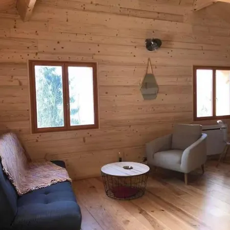 Apartment Chalet-studio Laura *